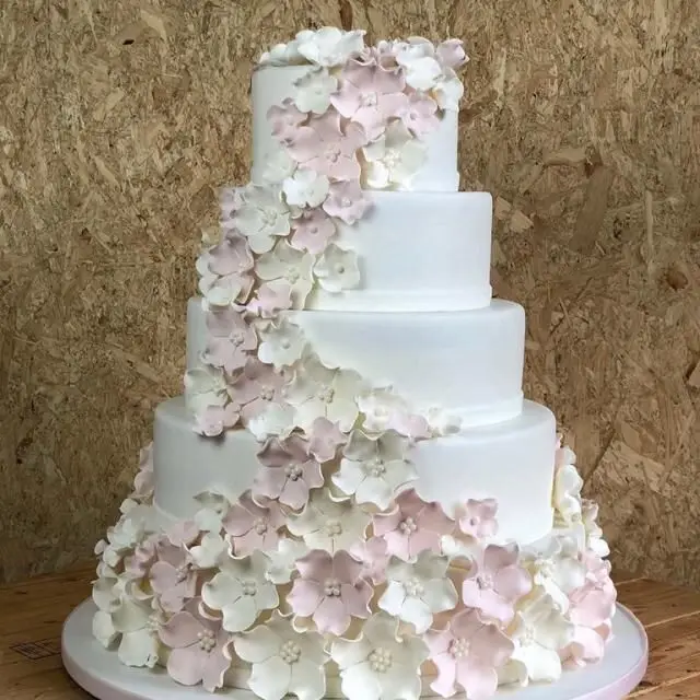 Cake 5