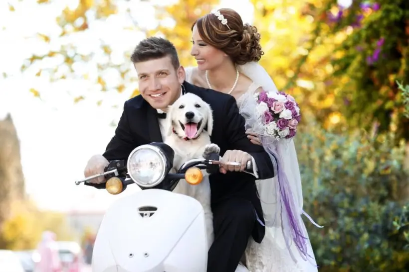 Bruidspaar samen met d ehond op de scooter