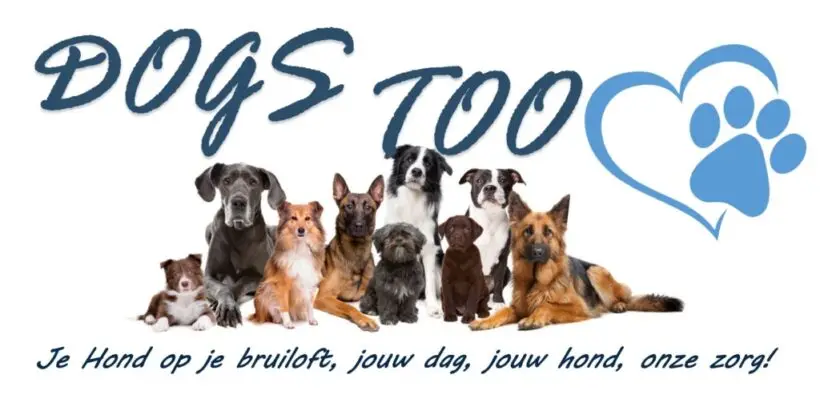 Logo Dogs Too