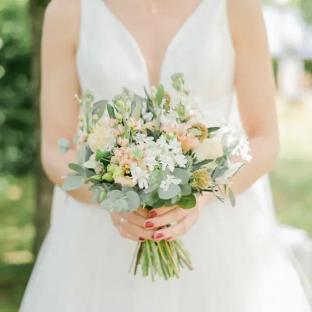 Sharon Gallardo Photography
