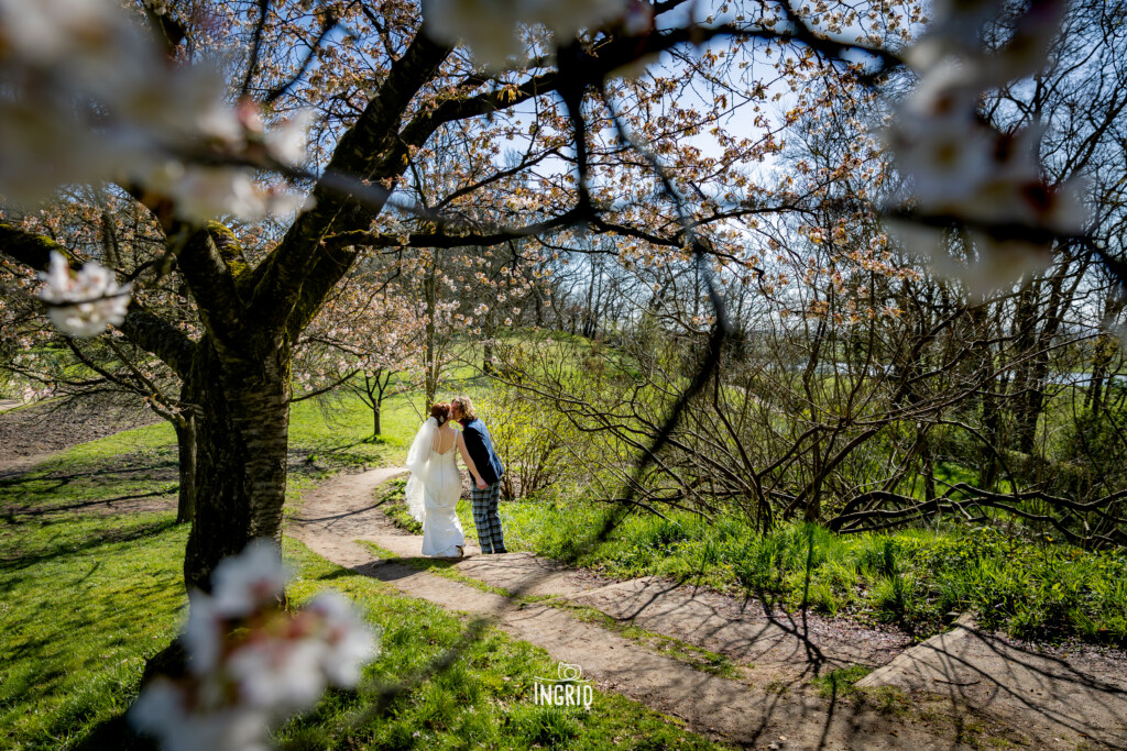 Bruidspaar met lente bloesem in het park