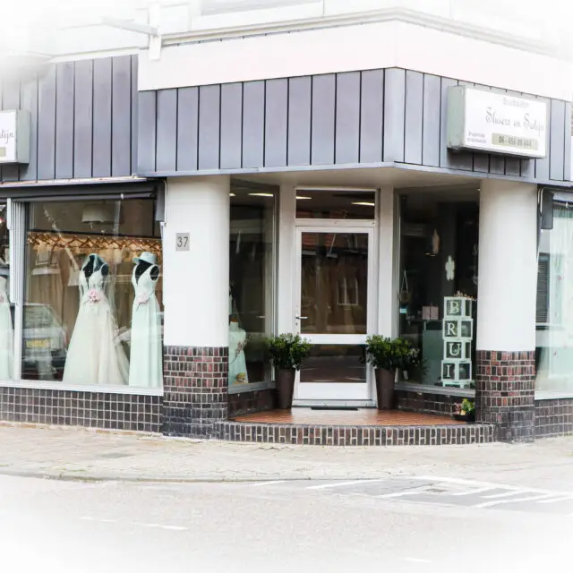 Bruidssalon Sluiers en Satijn