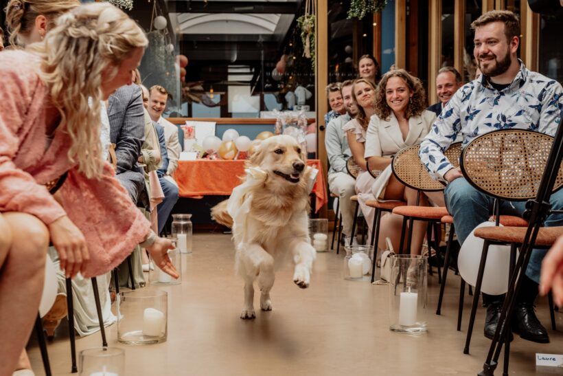 519743896_1382576500540188_4610561068963130212_n