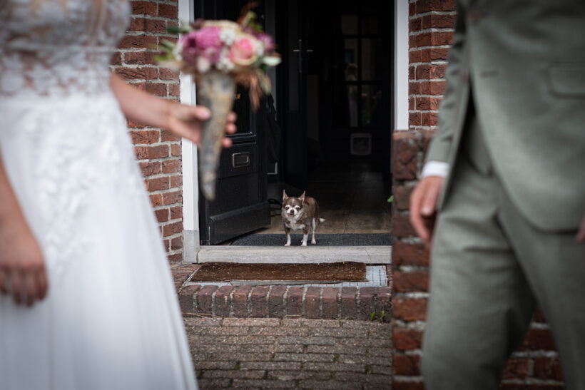 aankleden & first look